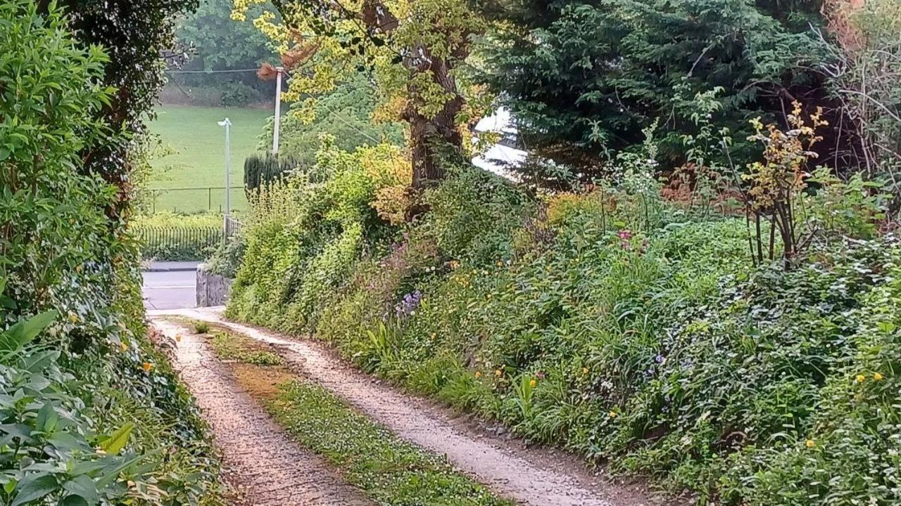 Hotel Glan Heulog Conwy Zewnętrze zdjęcie